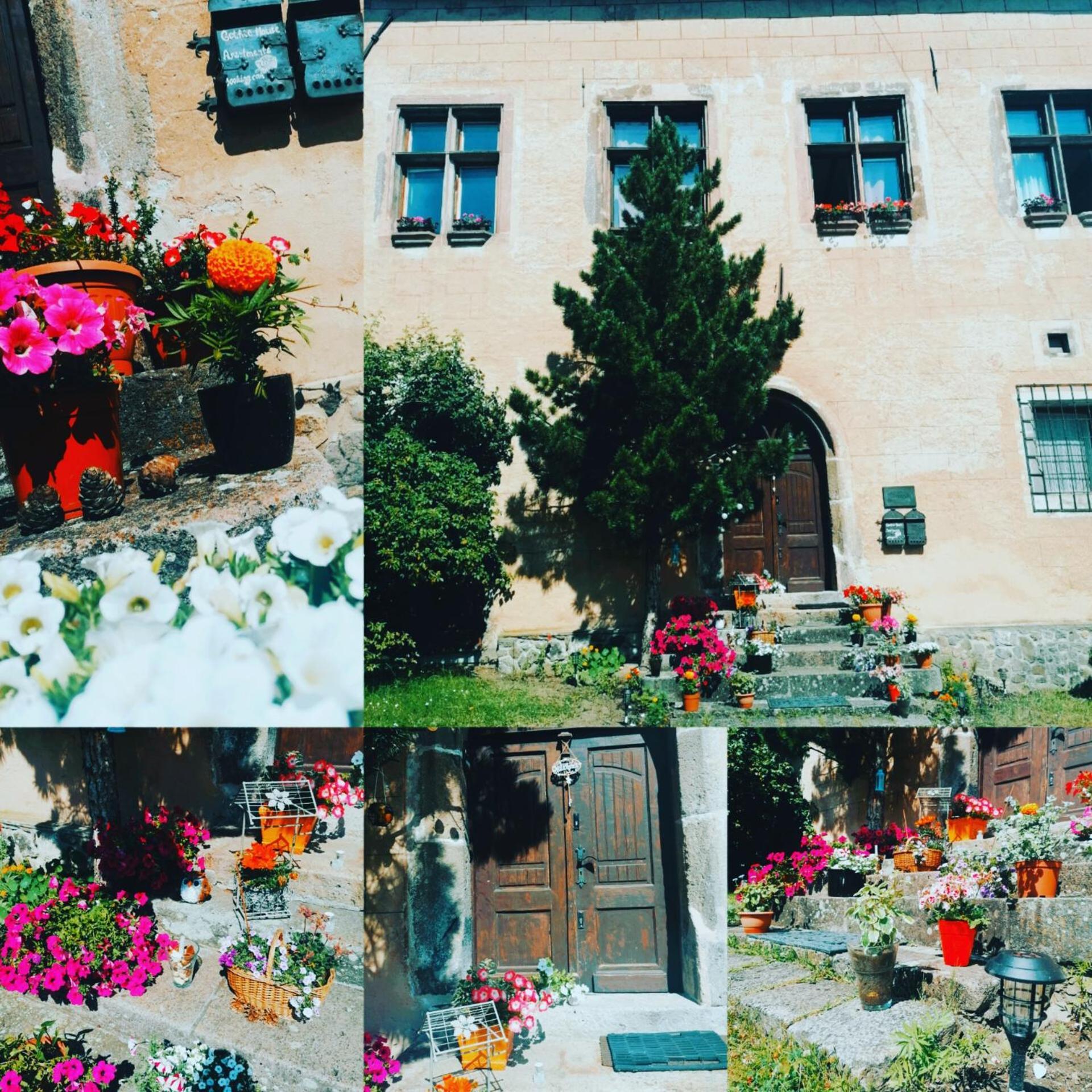 Gothic House Apartments Кремниця Екстер'єр фото